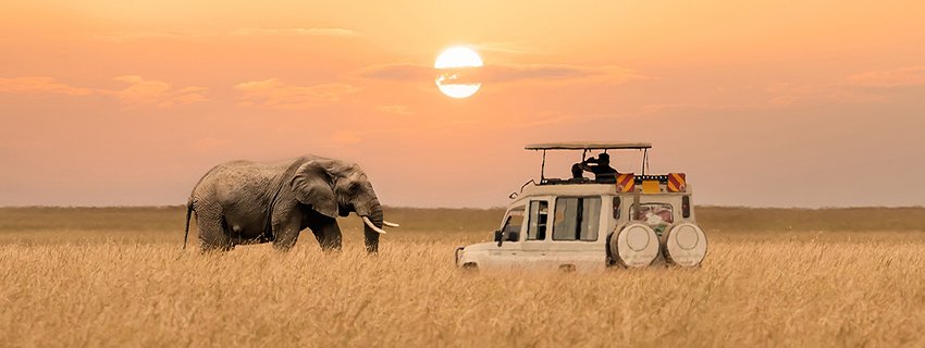 How to Plan a Customized South Africa Trip | Complete Guide